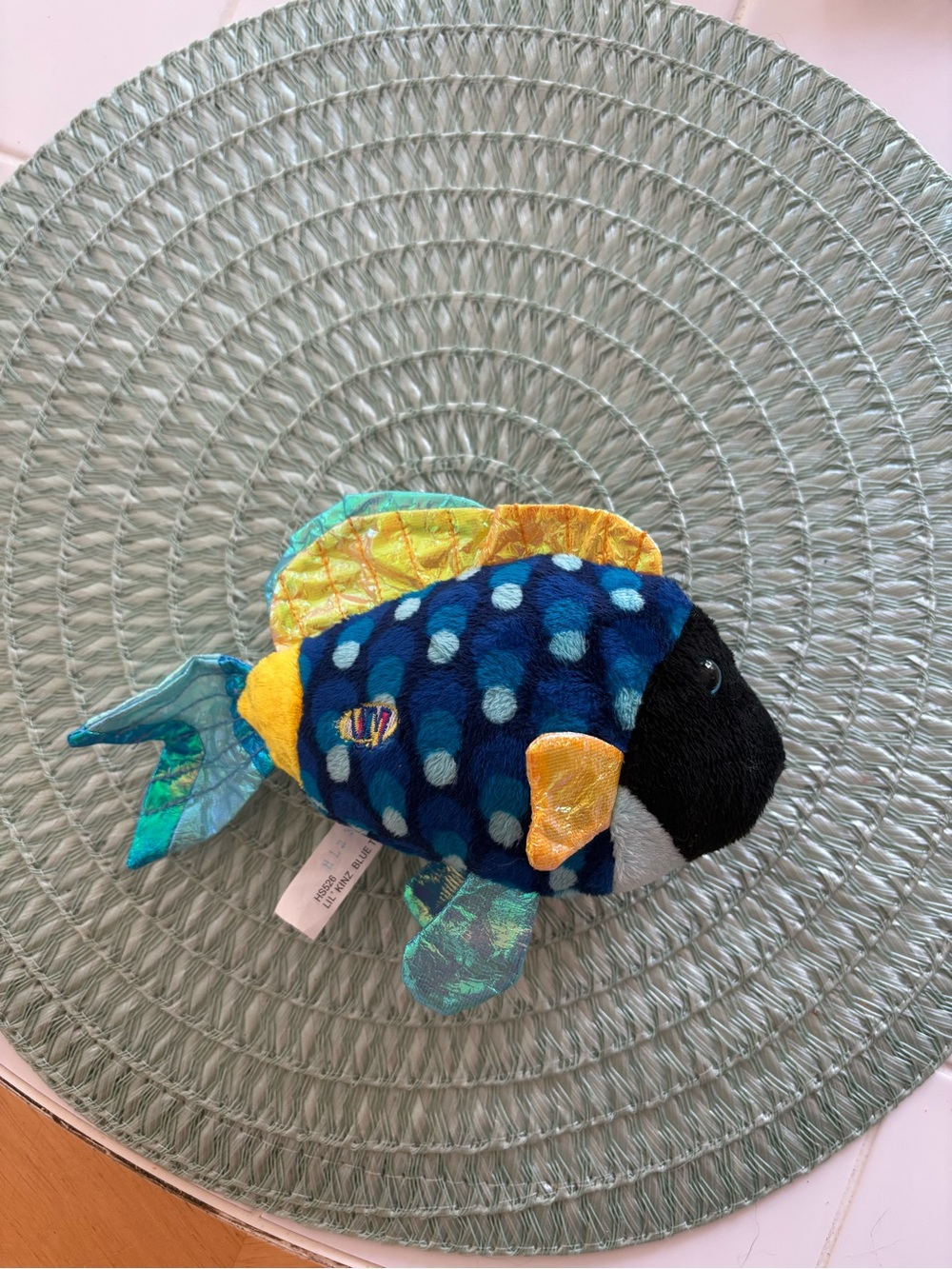 Lil kinz blue trigger fish